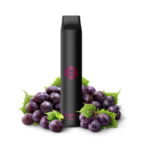Load image into Gallery viewer, ENVI Apex - Grape

