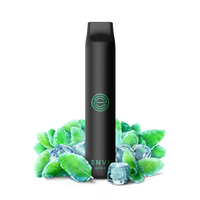 Load image into Gallery viewer, ENVI Apex - Intense Mint
